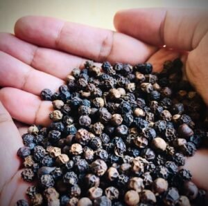 Black pepper bulk supplier