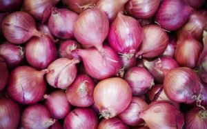 Bulk onion wholesaler