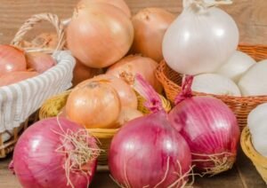 Bulk onion wholesaler