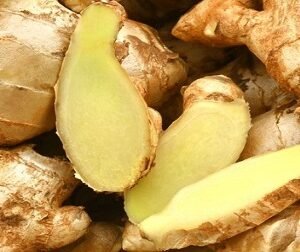 Wholesale Ginger Supplier