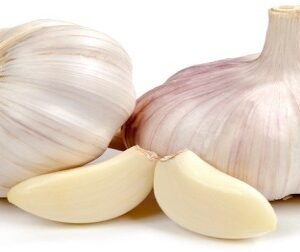 Wholesale garlic supplier