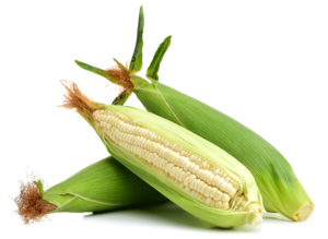 wholesale white maize