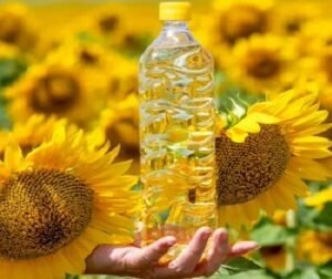 wholesale sunflower oil