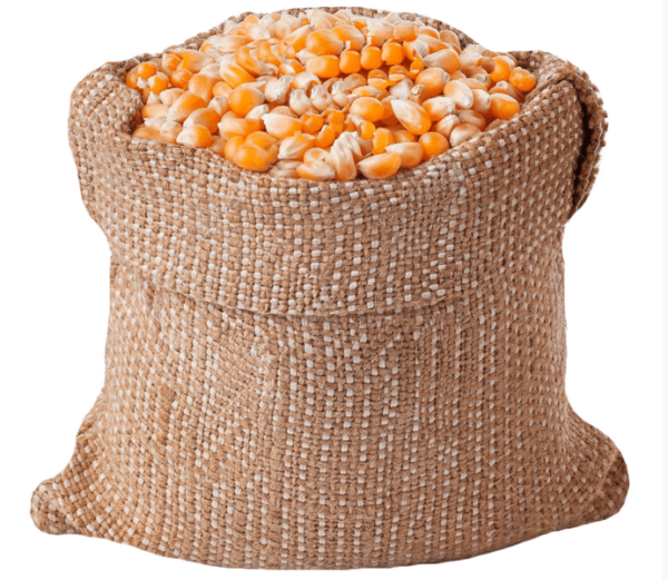 Wholesale Yellow Maize