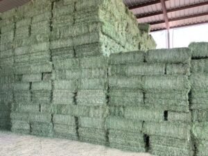 Alfalfa Hay Wholesale