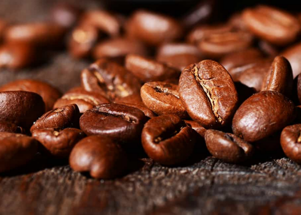Arabica Coffee Wholesale