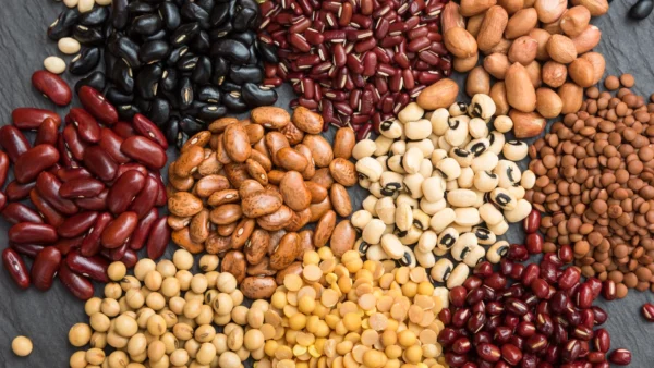 Wholesale Kidney Beans Supplier
