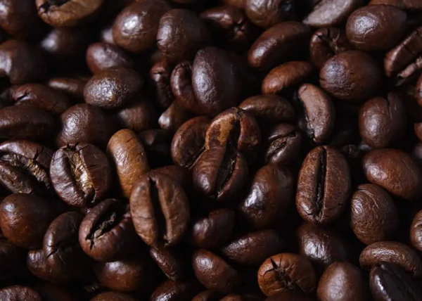 Robusta Coffee Wholesale