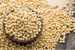 Wholesale Soybeans Supplier