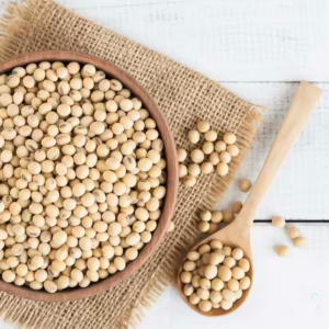 Wholesale Soybeans Supplier