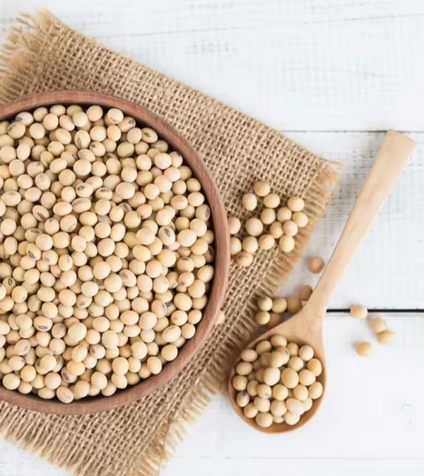 Wholesale Soybeans Supplier